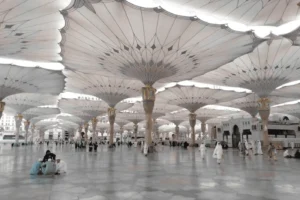 تركيب مظلات سيارات في الجبيل